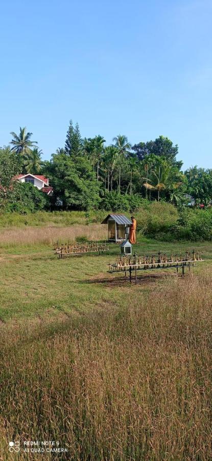 Narayanalayam-Vintage Retreat-Homestay & Rest'Inn Cananor Exterior foto