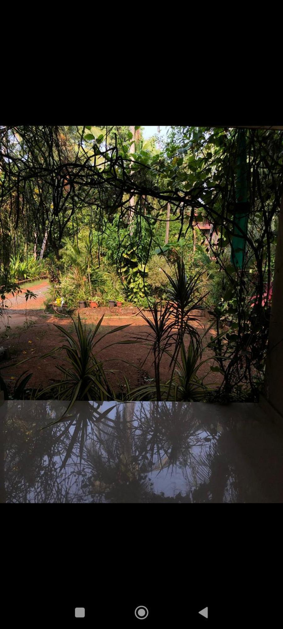 Narayanalayam-Vintage Retreat-Homestay & Rest'Inn Cananor Exterior foto